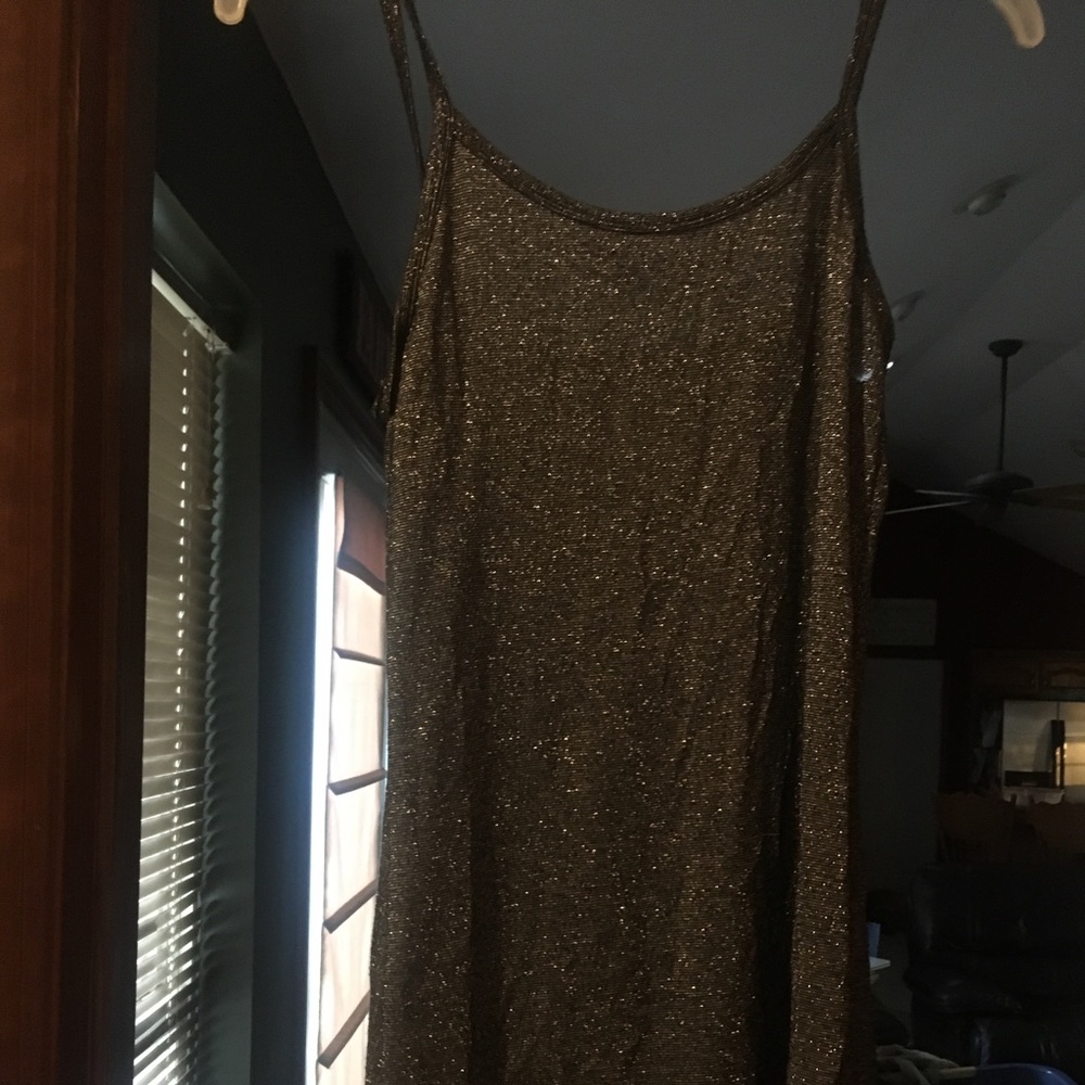 Daytrip tank